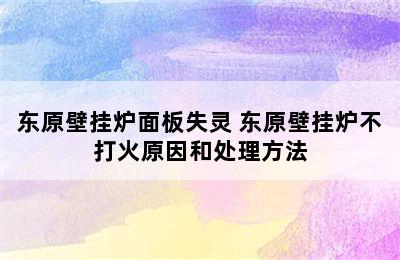 东原壁挂炉面板失灵 东原壁挂炉不打火原因和处理方法